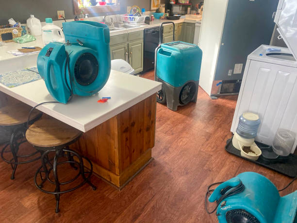 Best Flood damage cleanup  in Uintah, UT