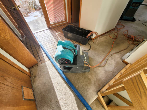 Best Local water damage restoration  in Uintah, UT