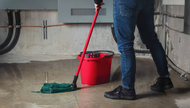 Best Water damage contractors near me  in Uintah, UT
