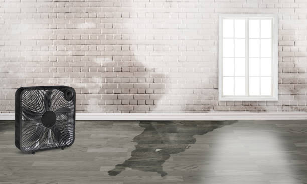 Best Emergency water damage restoration  in Uintah, UT
