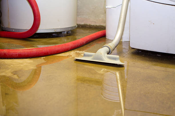 Best Ceiling water damage repair  in Uintah, UT