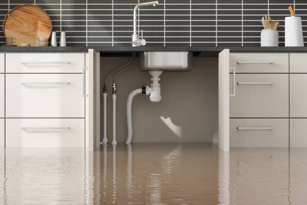 Best Water damage cleanup near me  in Uintah, UT