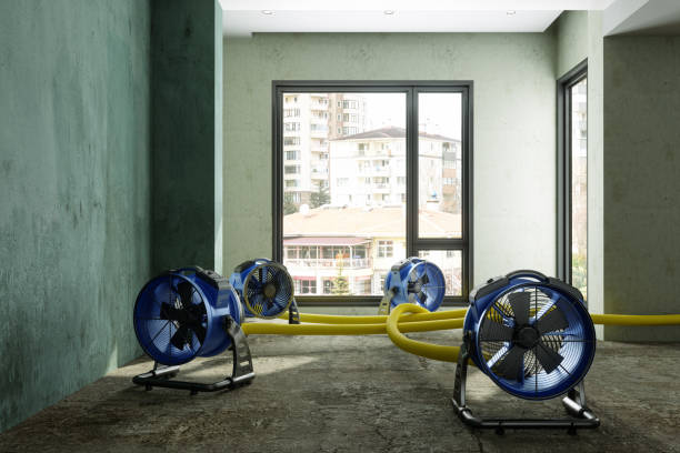 Best Basement water damage restoration  in Uintah, UT
